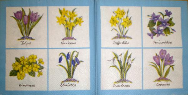 022 Narzissen - 3-lagig